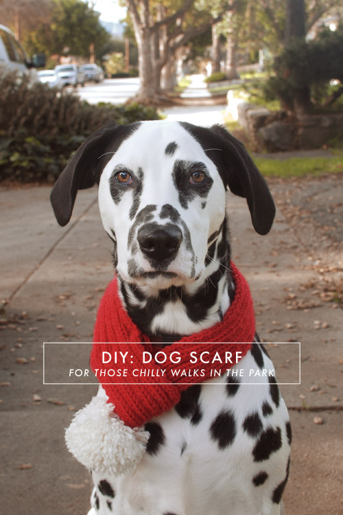 dog scarf pattern